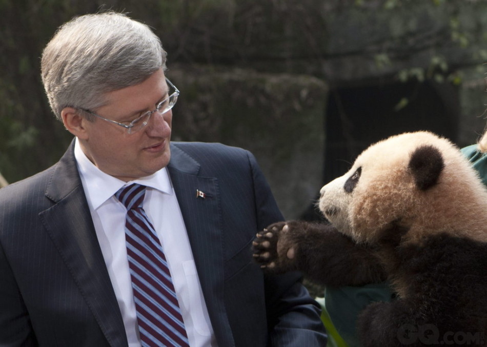 2012年2月11日，重庆动物园里，加拿大总理哈珀哈珀与大熊猫对望。哈珀此次访华期间，中方同意向加拿大提供一对大熊猫进行为期10年的合作保护研究。