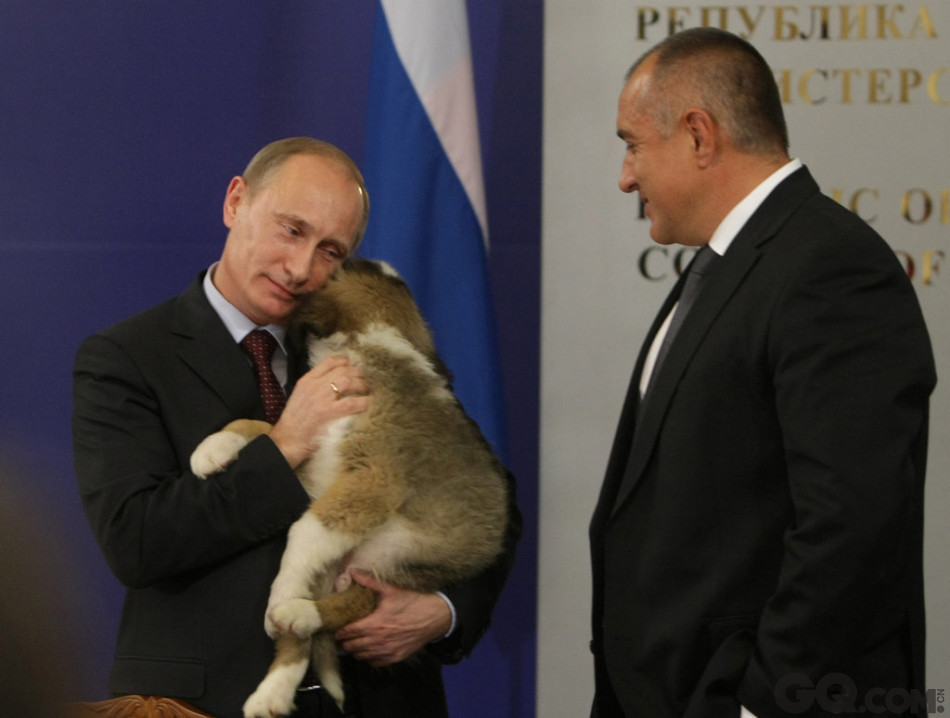  2010年11月13日，索非亚，俄罗斯总理普京访问保加利亚，与保加利亚总理鲍里索夫举行会谈。普京手抱鲍里索夫赠送的保加利亚牧羊犬。