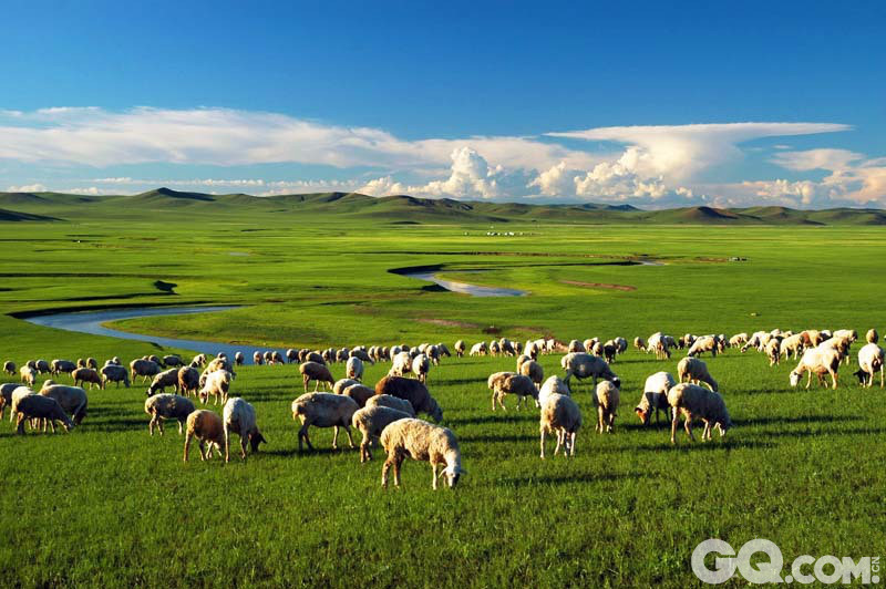 呼伦贝尔大草原位于内蒙古东北部，因境内的呼伦湖和贝尔湖而得名。呼伦贝尔大草原是我国目前保存最完好的草原，有“牧草王国”之称。呼伦贝尔大草原最具特色的观赏点是呼和诺尔草原和呼伦湖。