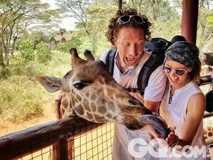 这对夫妇并不举行盛大的官方婚礼，而是去各地体验当地风情，就像在肯尼亚奈诺比的长颈鹿中心那样。