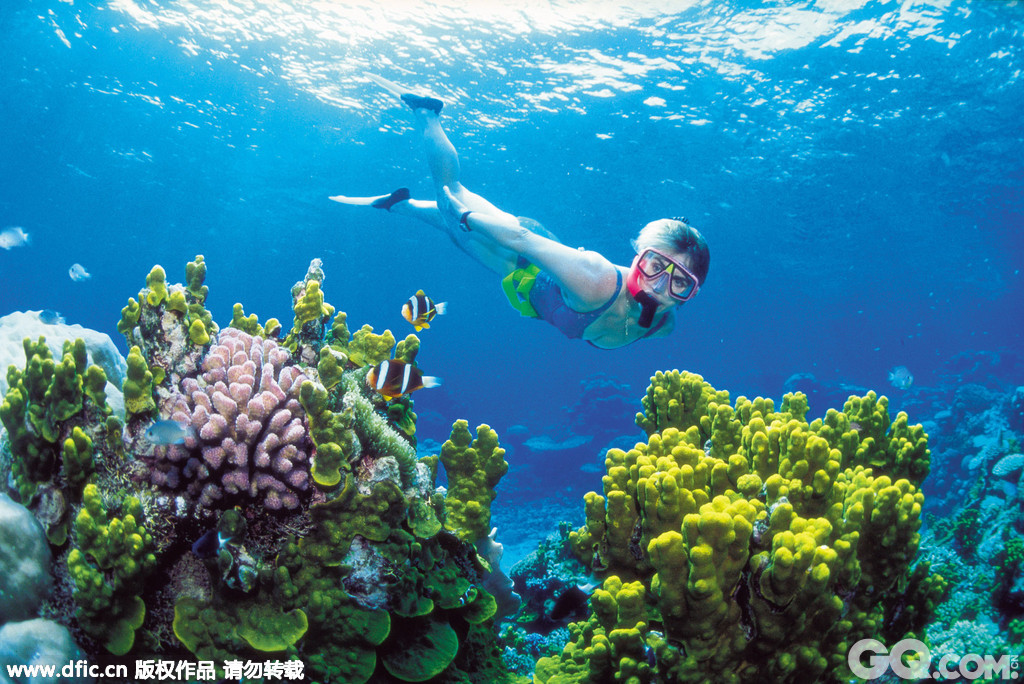 澳大利亚是世界上最大的珊瑚礁群大堡礁的所在地，同时它还拥有纯朴的沙滩、海岸和全年都温暖的天气，因此它是全球最受欢迎的旅游目的地之一。今年年初，接近35万人申请了澳大利亚的六个“全球最棒工作”。
