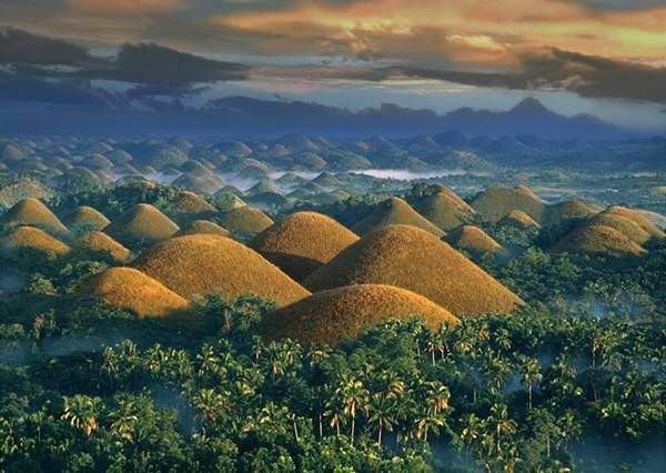 菲律宾的保和岛有很多石灰岩小丘,这些小丘被草地覆盖就象是铺上了绿色的地毯。但在旱季,这些草就会变成棕色,看起来就象是巧克力一样。