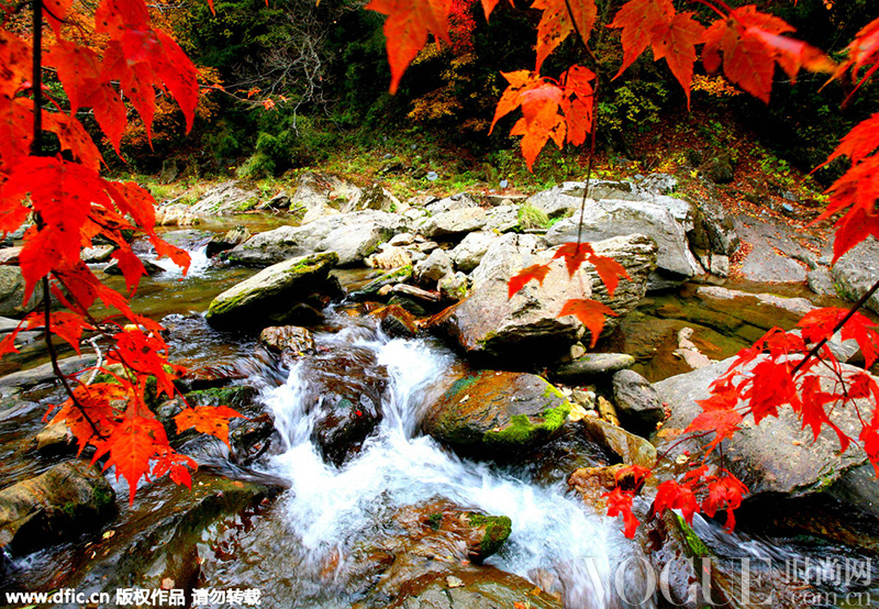 国内10大红叶秋景地 在最美的地方“等枫来” 