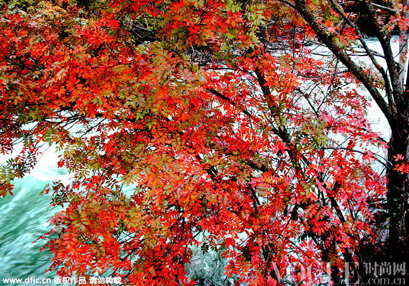 国内10大红叶秋景地 在最美的地方“等枫来” 