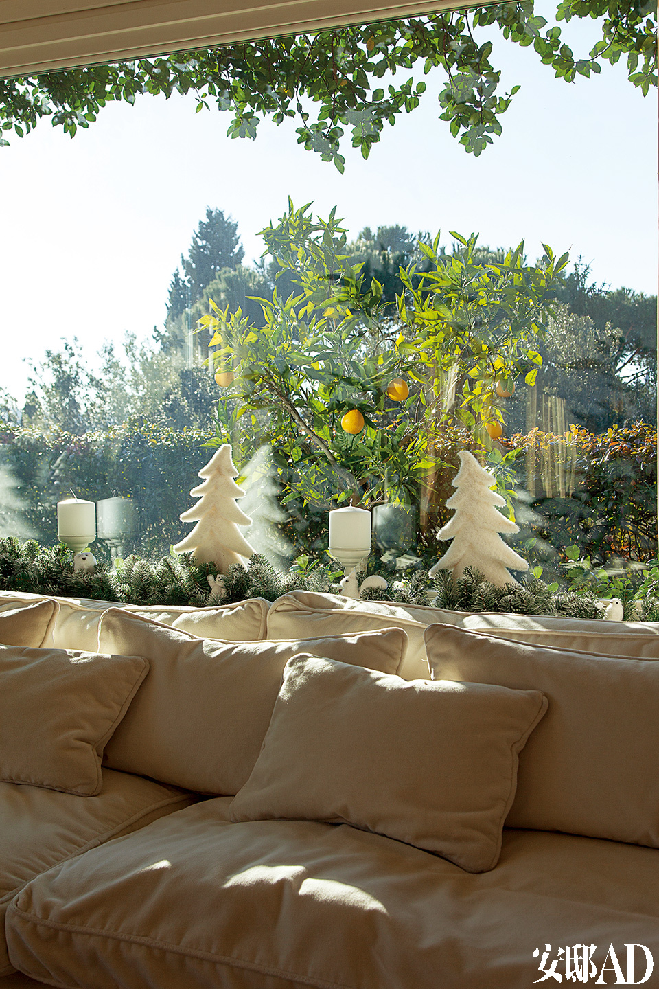 从起居室的窗户望出去，环绕整个公寓的大阳台花园中一片碧绿。黄澄澄的果实为室内纯白的圣诞装饰调入一丝暖意与生机。