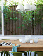 用餐区紧靠一大面窗户，窗外的绿竹摇曳，让进餐成为一件极风雅的事。餐桌来自The Willmott Collection（info@thewillmottcollection.com.au），是手工定制的再生法国橡木法式农舍餐桌。