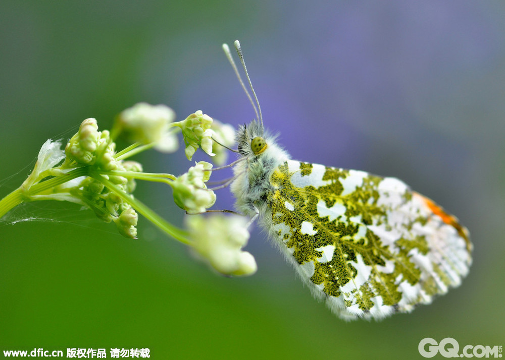 时间:2015年9月22日内容来源图片
