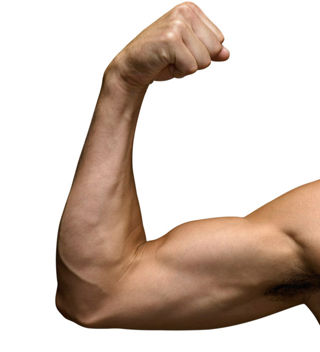 如何在30天内打造强健双臂?