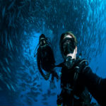 澳夫妇墨西哥潜水 镜头记录鱼群盛景