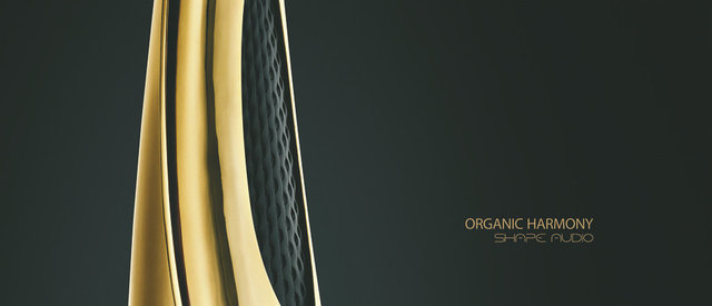 NO.6最贵的音响——Shape Audio Organic Harmony Gold黄金版
此款音响的不光是最贵的，可能也是最重的，整箱的重量高达450磅，除了箱体是由黄金制造外，还通过特殊工艺将24k纯黄金镀在了音响上，一定是金碧辉煌的。
参考价格：695万美元　　
