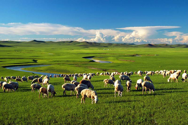 呼伦贝尔大草原位于内蒙古东北部，因境内的呼伦湖和贝尔湖而得名。呼伦贝尔大草原是我国目前保存最完好的草原，有“牧草王国”之称。呼伦贝尔大草原最具特色的观赏点是呼和诺尔草原和呼伦湖。