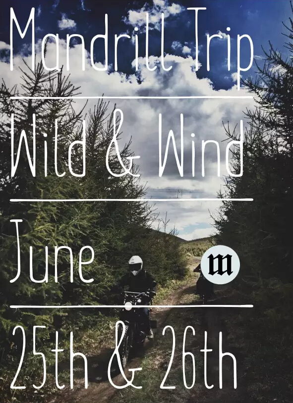 Mandrill trip 2016 - Wild & Wind