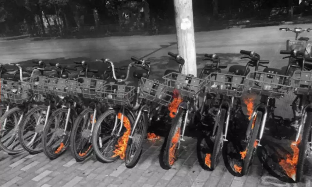 自焚、赶尸、斯德哥尔摩综合症、密室囚禁...共享单车的100种死法