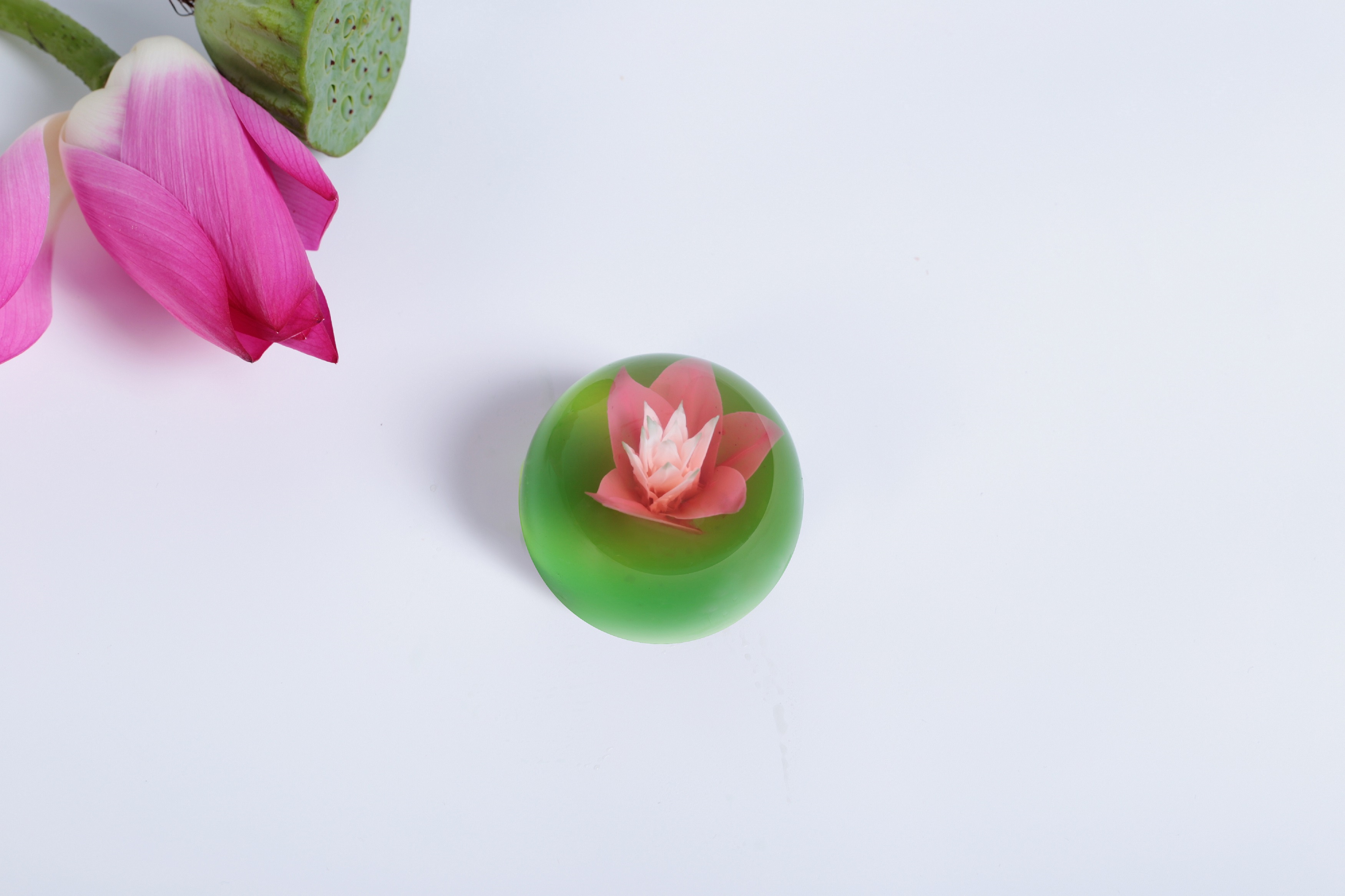 以花之名，重塑甜品界新尚 ——CHI哩首创美肌3D花果冻