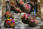 比利时布鲁塞尔举办花艺展 巴洛克风主题惊艳奢华 