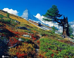 采尔马特小镇，素有“冰川之城”美誉的小镇采尔马特，被阿尔卑斯山的群峰包围，海拔4000米以上雪峰就有38...