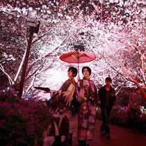 三月粉色樱花季 15处赏樱胜地撩动你的少女心-旅行度假