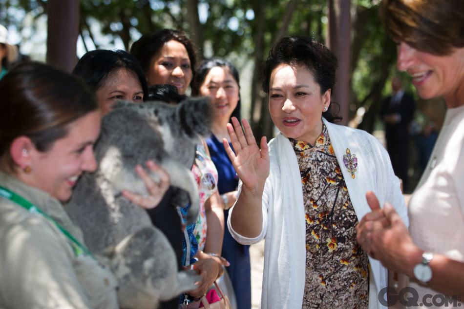 当地时间2014年11月15日，澳大利亚，G20峰会领导人太太团参观了位于布里斯班河畔的全球最大考拉保护区龙柏考拉动物园，彭丽媛抱着一只考拉。