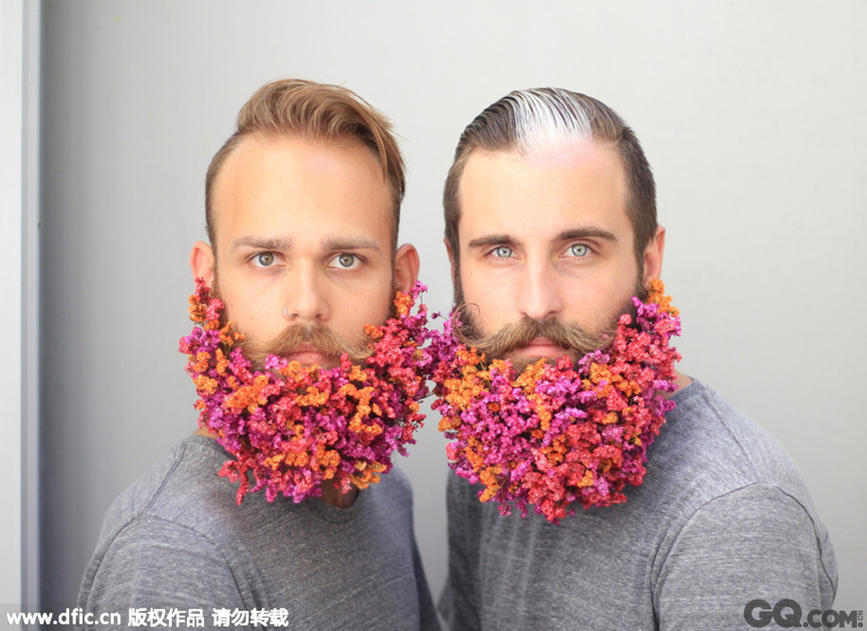 美国波特兰市，一对男同性恋好友用天马行空的创意装饰胡须，创作出多幅造型奇特的艺术作品，走红网络。
    25岁的Brian Delaurenti和Johnathan Dahl都是Gay，8岁时就成为朋友。去年夏天他们一起在Instagram注册账号“The Gay Beards”，开始上传他们设计的胡须造型。除了用花、颜料、闪光材料等装饰胡须外，他们还专门为独立日、圣诞节等节日设计创意作品，上传后引发点赞热潮。他们的账号关注者已达30031人，有的作品被点赞超过5000次。
    Brian是一名画家和摄影师，Johnathan是一名音乐人，他们在艺术方面的特长令胡须装饰创意十足。每周他们都会开会讨论新造型，大多数创意来自日常生活。根据造型不同，创作所需时间也不同。他们希望创作更多作品，赢得更多粉丝青睐。