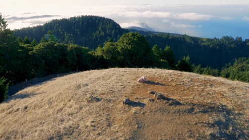 这家公司用无人机拍了一部叫做《Drone Boning》的电影，尽管电影的名字如此，但是几乎我看的时候整个过程都在关注美丽的风景去了而没有注意情色的主题，取景就在旧金山，给人一种正在使用Google Earth卫星地图的感觉。海滩，山脉，森林，草原，感觉眼前一片清新，真正做到了让色情返璞归真的感觉。