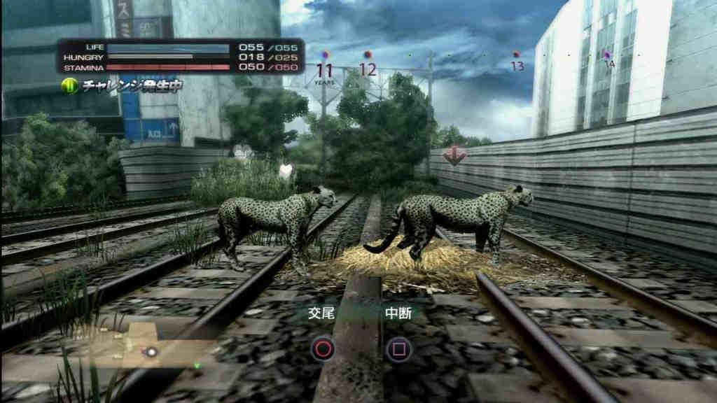 NO.3《东京森林》
《东京森林》是加载到PS 3上的一款动物生存类游戏，游戏中为玩家提供了50种不同的动物角色，玩家还可以选择不同的故事模式和生存模式。在一个没有人类的世界里，游戏只有一个目的，就是在异乎寻常的混乱环境下和残酷的食物链循环里获得生存下来的机会。
