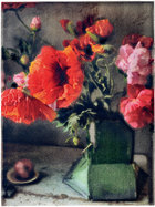汤普森的摄影美术作品，他对花朵的捕捉惟妙惟肖。