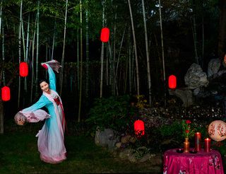 茶香花香戏曲香，传统文化浸润出何赛飞的团圆中国年