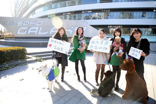 北京街头现美女遛狗团 呼吁关爱动物尊重生命