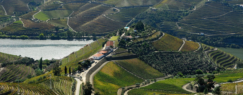 从北到南葡萄牙10家酒庄游（上）